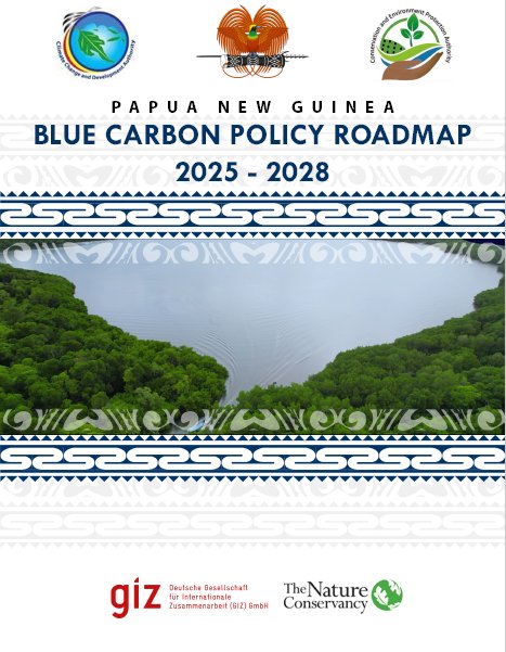 Blue Carbon Policy Road Map 2025 – 2028