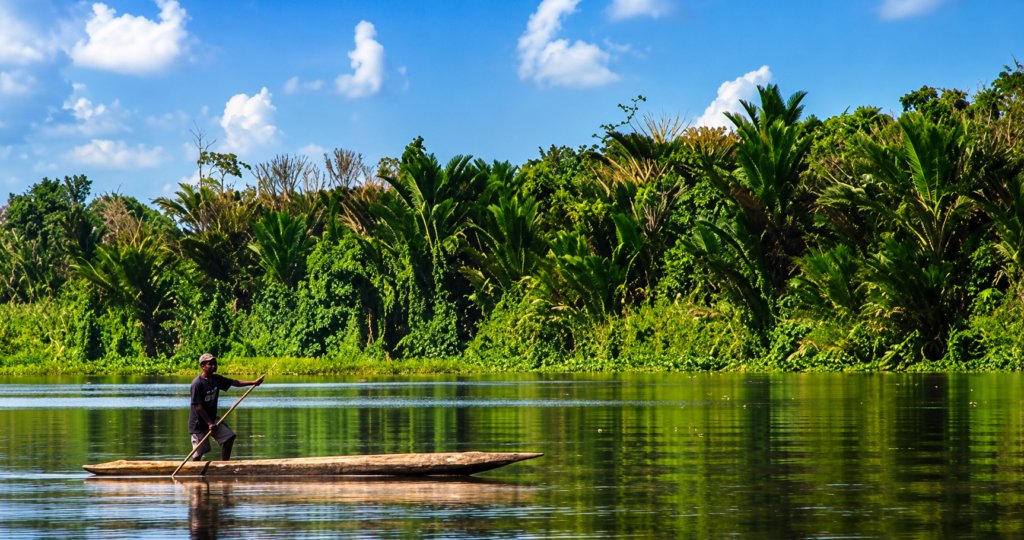 ASEYAFE FOREST CONSERVATION